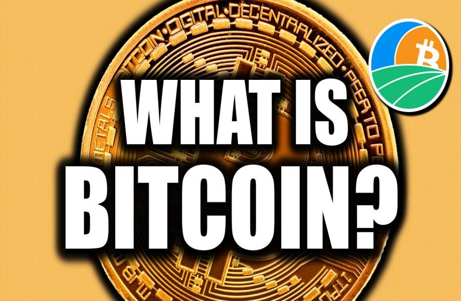 Article-image
